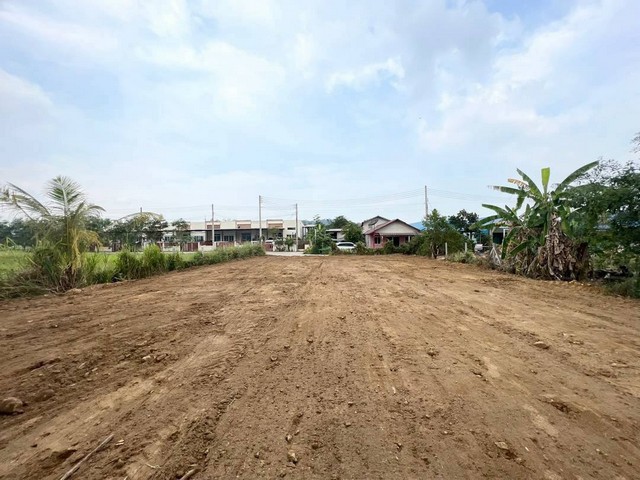 ขายที่ดินขนาด126ตรว วิวภูเขา ติดสวนนงนุช ราคาถูก เหมาะปลุกบ้าน ใกล้เขาชัจรรย์ บางเสร่ ชลบุรี