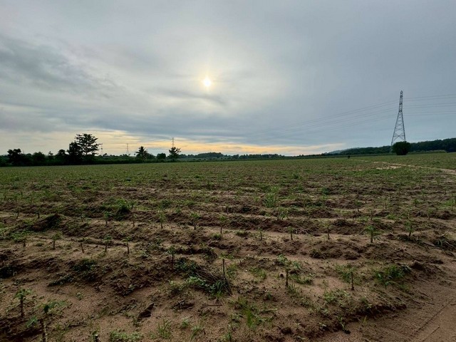 ขายที่ดินขนาด 38 ไร่กว่า ผังสีเหลือง เหมาะทำจัดสรร สร้างโกดัง คลังสินค้า โรงงาน หน้าแปลงติดถนน บ่อวิน2 ชลบุรี