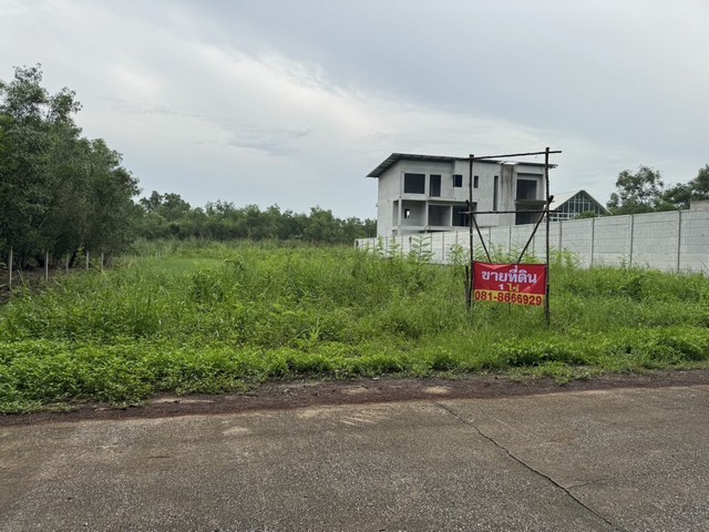 [ขาย] ที่ดิน 1 ไร่ ติดวัดพระธรรมกาย (ประตู 9) คลองสอง ปทุมธานี | ราคา 5 ล้านบาท