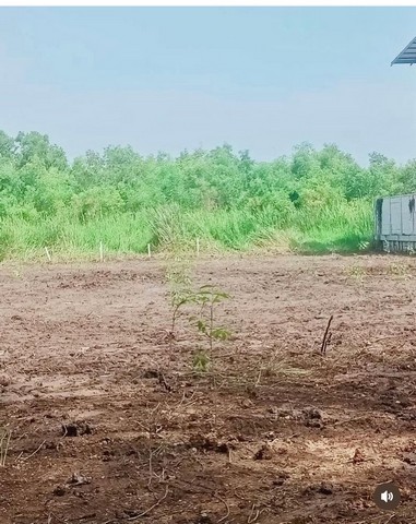 [ขาย] ที่ดิน 1 ไร่ ติดวัดพระธรรมกาย (ประตู 9) คลองสอง ปทุมธานี | ราคา 5 ล้านบาท