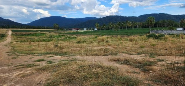 ขายที่ดินเขาคันทรง หุบบอน ศรีราชา แปลงสวย ห่างท่าเรือแหลมฉบัง 30 กม. FP-L0656