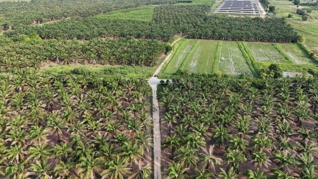 ขายที่ดินคลองกิ่ว บ้านบึง แปลงสวย ทำเลดี ใกล้อ่างเก็บน้ำคลองหนองน้ำ FP-L0655