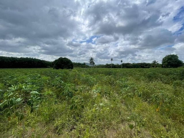 ขายที่ดินเปล่า เขาตะแบก หนองขาม ศรีราชา ชลบุรี ใกล้นิคม WHA2  FP-L0652 