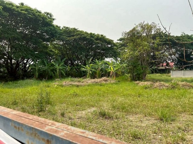 ที่ดินเปล่า ถมแล้ว 2 ผืนติดกัน ในหมู่บ้าน เวิร์ดคลับแลนด์ หางดง 