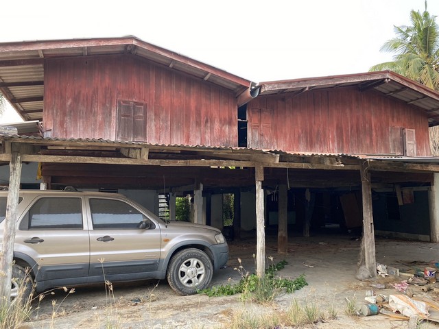 หน้าฝนมีทรัพย์ดีเสดชื่นหัวใจ บ้านเดี่ยว สิงห์บุรี116 ตาราวา  ราคากันเอง  โทร  0968821857