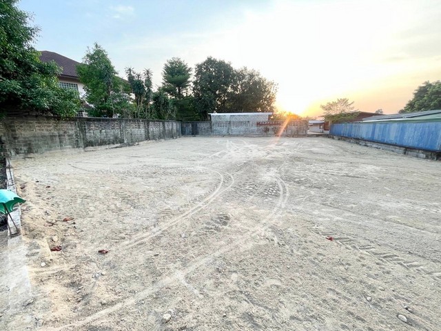 ขายที่ดินเนื้อที่ 204 ตารางวา อยู่ในชุมชน ที่ถมแล้ว น้ำไม่ท่วม ติดทางสาธารณะ หนองปรือ บางละมุง ชบุรี 