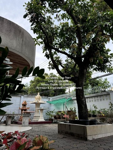 บ้าน ขายบ้านเดี่ยว 2 ชั้น ซ.นราธิวาสราชนครินทร์ (ใกล้ ถ.จันทน์) 96 ตร.ว. 4 น 3 น้ำ 3 จอดรถ ราคา 85 ล้านบาท 4 นอน 0 RAI 0 Ngan 96 ตาราง-วา 85000000 บ.   น่าอยู่มาก