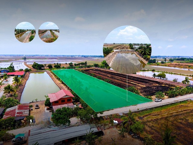 ที่ดินทำเกษตรพอเพียงใกล้เมือง ติดถนน-ติดน้ำ ขนาด 4ไร่ 2งาน 96ตารางวา ตำบลดอนลาน อำเภอผักไห่ จังหวัดพระนครศรีอยุธยา 