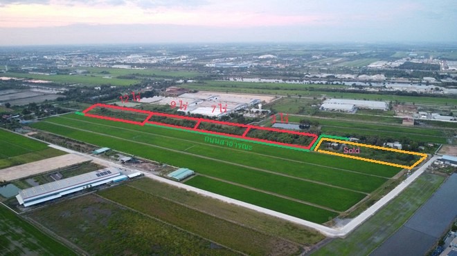 ขายที่ดิน 9 ไร่ ถมแล้วผังสีม่วง แปลงสี่เหลียมหน้ากว้าง เขตEEC อ.เมือง ฉะเชิงเทรา สร้างโรงงานได้ทุกประเภท