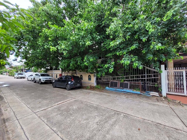 ขาย บ้านเดี่ยว ภัทร ไพรเวท 3 บางบัวทอง บางบัวทอง นนทบุรี  PTT13272