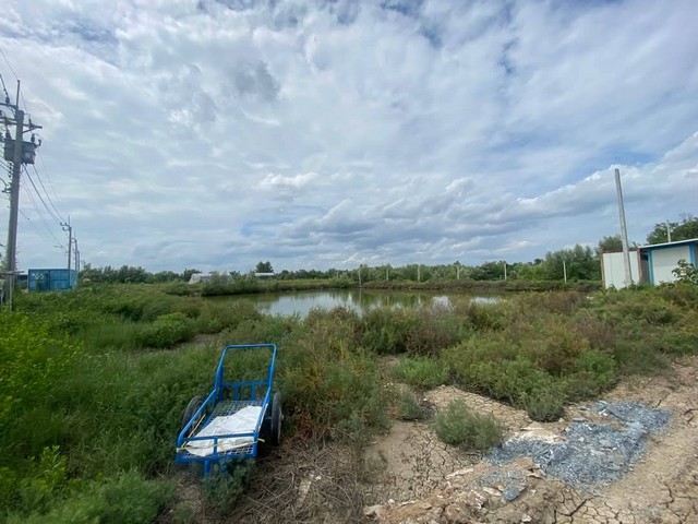 ขายที่ดินสองแปลง พระสมุทรเจดีย์  สมุทรปราการ รวม  23 ไร่ 3 งาน 81.2 ตารางวา