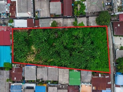 ขายที่ดินเปล่า 520 ตรว ในซอยวุฒากาศ36 ผังเมืองส้ม อยู่ในแหล่งชุมชน ห่างจากปากซอย เพียง 400เมตร เหมาะทำบ้านอยู่อาศัย หรือ อพาร์ทเม้น