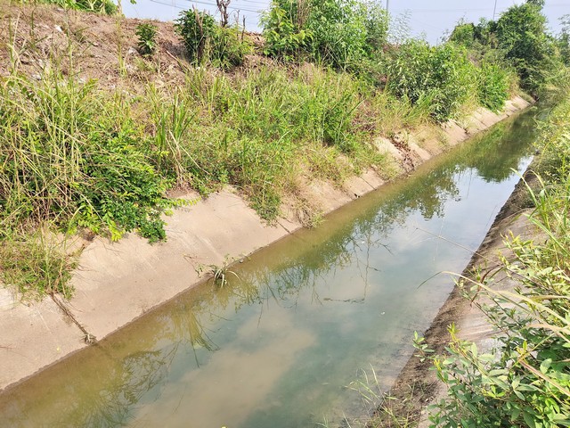 ขายที่ดินติดถนน อำเภอบางบาล ตำบลบางหลวงโดด จังหวัดพระนครศรีอยุธยา