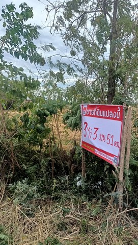 ขายที่ดินที่นาเสาไห้ 4ไร่ ตำบลบ้านยาง อำเภอเสาไห้ จังหวัดสระบุรี