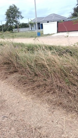 ขายที่ดินที่นาเสาไห้ 4ไร่ ตำบลบ้านยาง อำเภอเสาไห้ จังหวัดสระบุรี