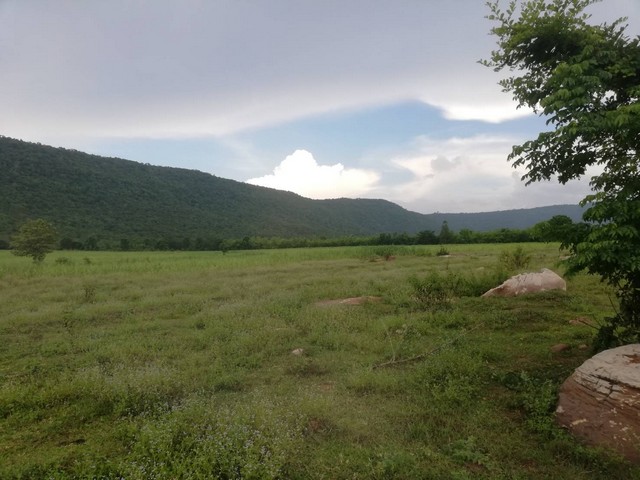 สนใจราคาเงื่อนไขคุยเจ้าของได้ ขายที่ดินสวยติดภูเขา เทือกเขายาวเรียงแนว ดินดีสมบูรณ์ทรัพย์ในดิน ฟ้าใสวิวหลักล้าน ต.นาจาน อ.สีชมพู จ.ขอนแก่น 