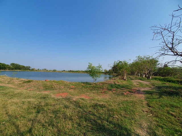 ขายที่ดินข้างศูนย์ราชการใหม่ของนครปฐม เหมาะทำโครงการบ้านจัดสรร