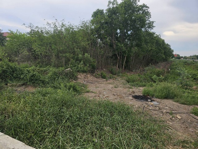 HR2496ขายที่ดินเนื้อที่ 25 ไร่เศษ พื้นที่สีม่วง ติดริมถนนพลโยธิน ย่านวังน้อย ใกล้โรงไฟฟ้าวังน้อย