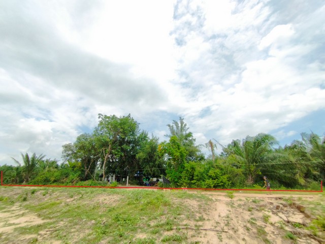 ขายที่ดิน 31 ไร่ บ้านบึง-พนัสนิคม พื้นที่ศักยภาพ ใกล้ 331 ทำเลอุตสาหกรรม เหมาะทำโกดังโรงงาน 