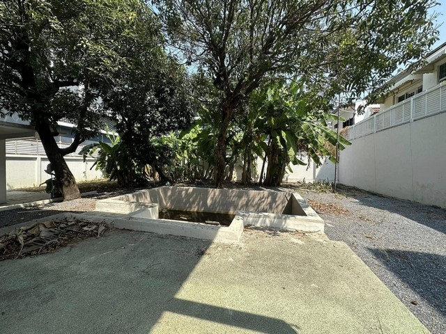 รหัสC6803 ให้เช่าบ้านเดี่ยว 2ชั้น ย่านถนนสุขุมวิท ใกล้ BTS บางจาก เดินทางสะดวกใกล้ทางด่วน