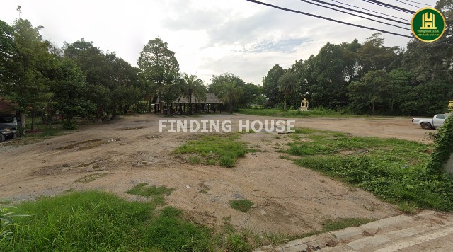 ขายที่ดินแปลงใหญ่พัทยา 21 ไร่ 1 ตร.วา. ใกล้สวนนงนุช บางเสร่ สัตหีบ ชลบุรี