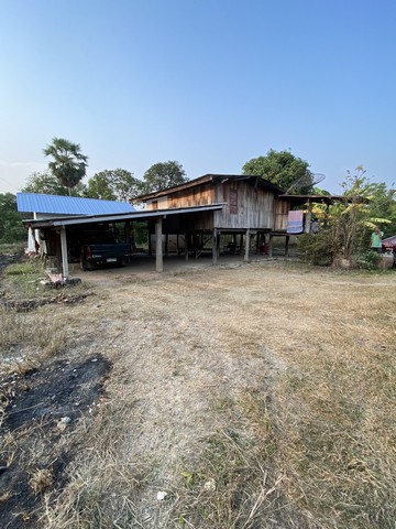 สนใจทรัพย์ราคาเงื่อนไขคุยตรงเจ้าของได้ ขายบ้านไม้ จ.สิงห์บุรี  วิถีไทย  ต.โพทะเล วิถีไทย 262 วา ต.โพทะเล อ.ค่ายบางระจัน สิงห์บุรี 500000บาท