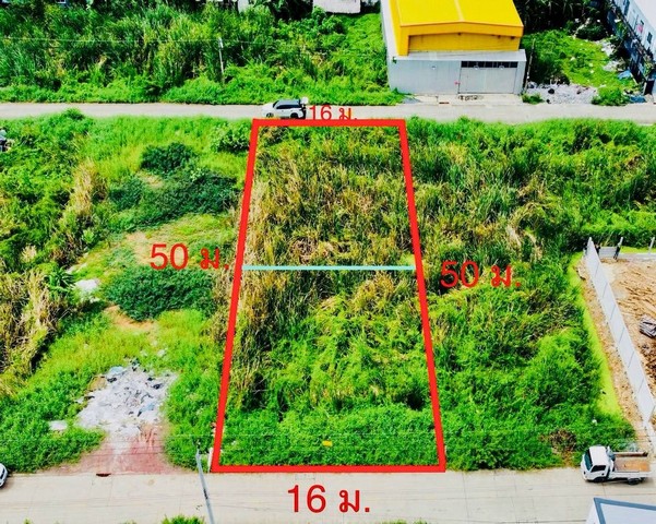 ขายที่ดิน ลำลูกกา คลอง4 พื้นที่ 200 ตร.ว. ต.ลาดสวย อ.ลำลูกกา จ. ปทุมธานี 