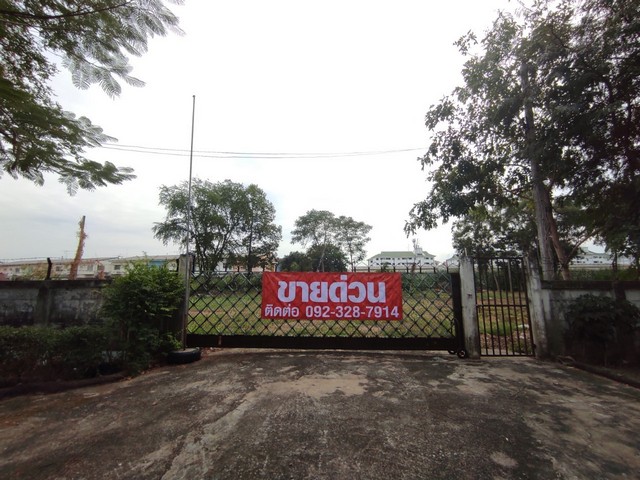 ขายด่วน ที่ดินลำลูกกาคลองสอง ถมแล้ว ขนาด 1-0-50 ไร่ ใกล้ BTS คูคต เพียง 5 กม.