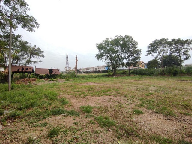 ขายด่วน ที่ดินลำลูกกาคลองสอง ถมแล้ว ขนาด 1-0-50 ไร่ ใกล้ BTS คูคต เพียง 5 กม.