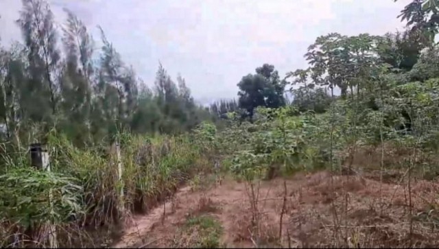 ขายที่ดินติดนิคม WHA1 แปลงสวย โซนหนองขาม ศรีราชา ชลบุรี FP-L0689