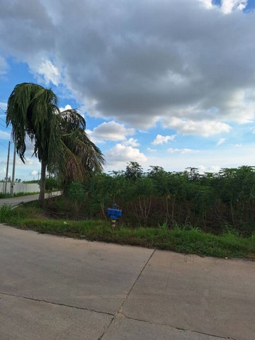 ขายที่ดินศรีราชาแปลงสวย ทำเลดี ติดนิคม WHA1 ชลบุรี FP-L0688