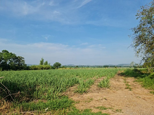 ที่สูงน้ำไม่ท่วม ขายที่ดินปากช่อง 2ไร่- 8ไร่ โฉนด ต.วังไทร อ.ปากช่อง จ.นครราชสีมา ไร่ละ  2.9 ลบ.สูงจากระดับน้ำทะเลมา น้ำไฟพร้อม