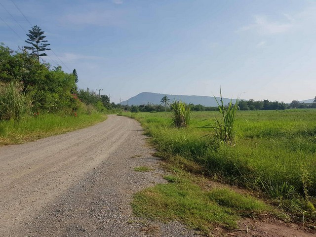 ที่สูงน้ำไม่ท่วม ขายที่ดินปากช่อง 2ไร่- 8ไร่ โฉนด ต.วังไทร อ.ปากช่อง จ.นครราชสีมา ไร่ละ  2.9 ลบ.สูงจากระดับน้ำทะเลมา น้ำไฟพร้อม