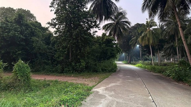 ที่วิวสวยมีไว้ไม่ผิดหวัง  ที่ติดทะเล 2.5 ลบ./ไร่ ฝั่งแดง ผาแดง หายาก ประจวบ บางสะพานน้อย สวยมากแปลงนี้ ขายถูกสุดในย่านนี้ ไร่ละ 2.5 ล้านบาท 