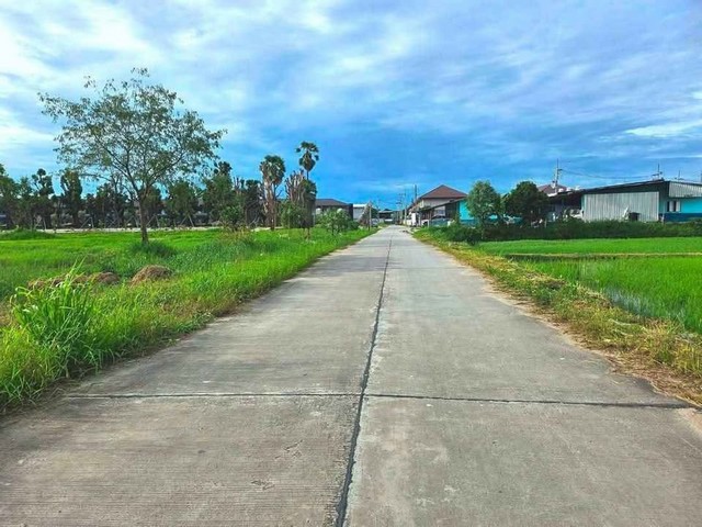 ขายที่ดินพานทองราคาถูก หนองหงษ์  พานทอง ชลบุรี บนเนื้อที่  10 ไร่ ใกล้นิคมอมตะนคร