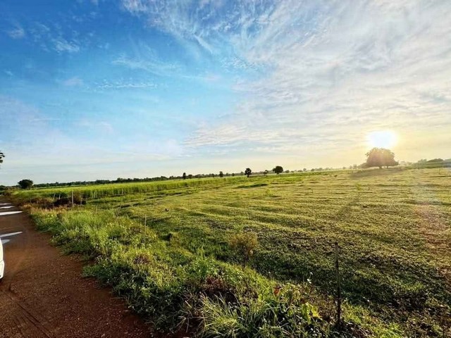 ขายที่ดินสวยราคาถูกพนัสนิคม​ พื้นที่ผังสีเหลือง ​ต.สระสี่เหลี่ยม​อ.พนัสนิคม​ จ.ชลบุรี  บนเนื้อที่​16ไร่​ 3​ งาน​ 8​ ตรว