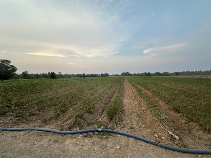 ขายที่ดินแปลงสวยทำเลทองติดถนนราคาไม่แพง ต.หนองโพ อ.ตาคลี จ.นครสวรรค์