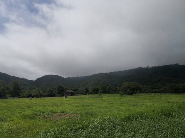 ให้เช่าที่ดินเปล่า 2ไร่ โครงการ Kirimaya เขาใหญ่ เหมาะกับทำบ้านพักตากอากาศเพื่อ​ให้เช่า