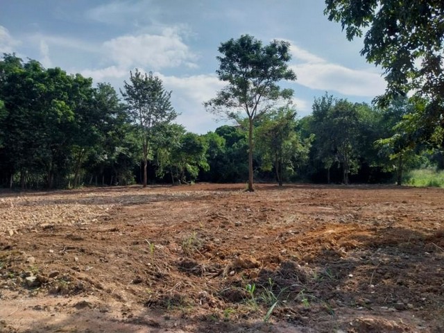 ขายที่ดินวิวหลังเขา แปลงสวย ทำเลดีมาก บางพระ ศรีราชา ชลบุรี FP-L0696 