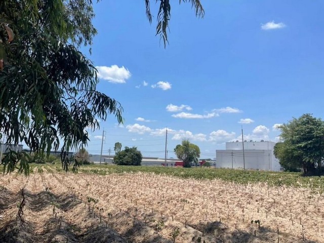 ขายที่ดินอมตะซิตี้ แปลงสวย มาบยางพร ปลวกแดง ระยอง  FP-L0695