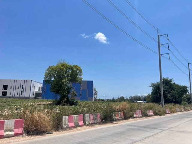 ขายที่ดินอมตะซิตี้ แปลงสวย มาบยางพร ปลวกแดง ระยอง  FP-L0695