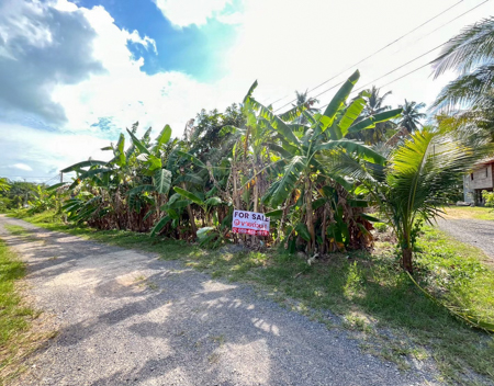 ลงทุนที่ดินสมุย 1 งานกว่า ราคาแค่ 2 ล้าน โฉนดพร้อม โซนกำลังโต ขายที่ดินเปล่า ต.ตลิ่งงาม อำเภอเกาะสมุย สุราษฎร์ ขายที่ดินสมุย