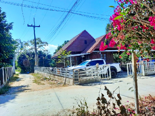 แม่ริม 2 นอน เทศบาลเมืองแม่โจ้  ให้เช่าบ้านเดี่ยว 1 ชั้น  หลังมุม 62ตร.วา.242ตร.ม. ตลาดแม่ริมพลาซ่า 3 กม