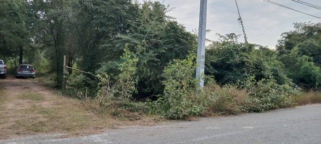 ที่วิวสวยมีไว้ไม่ผิดหวัง ขายที่สวยติดทางหลวง1107 บ้านตาก จ.ตาก คมนาคมสะดวก ไร่ละ 300000 ต.ตากตก อ.บ้านตาก  จ.ตาก  0837124115