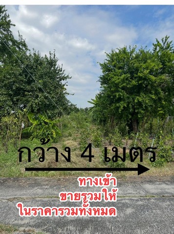 ขายที่ดินอำเภอบ้านหมอ ขายที่ดินสระบุรี ขายที่ดินตำบลหนองบัว ขาย2ไร่44ตารางวา