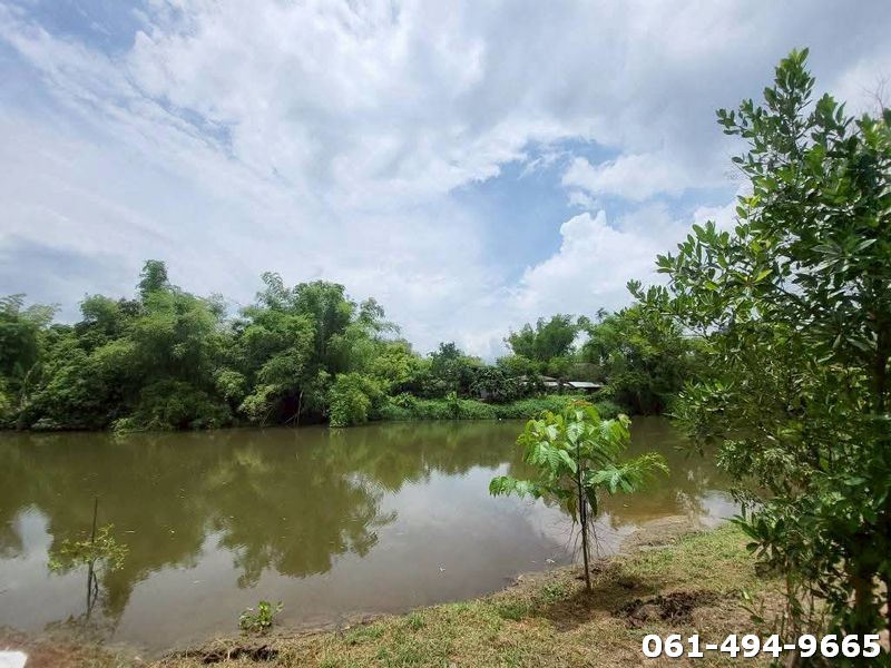 ขายที่สวนติดแม่น้ำนครนายก ต.ศรีนาวา อ.เมืองนครนายก หน้าปากซอยมีเซเว่น ใกล้ตลาดนครนายก 5 กม.