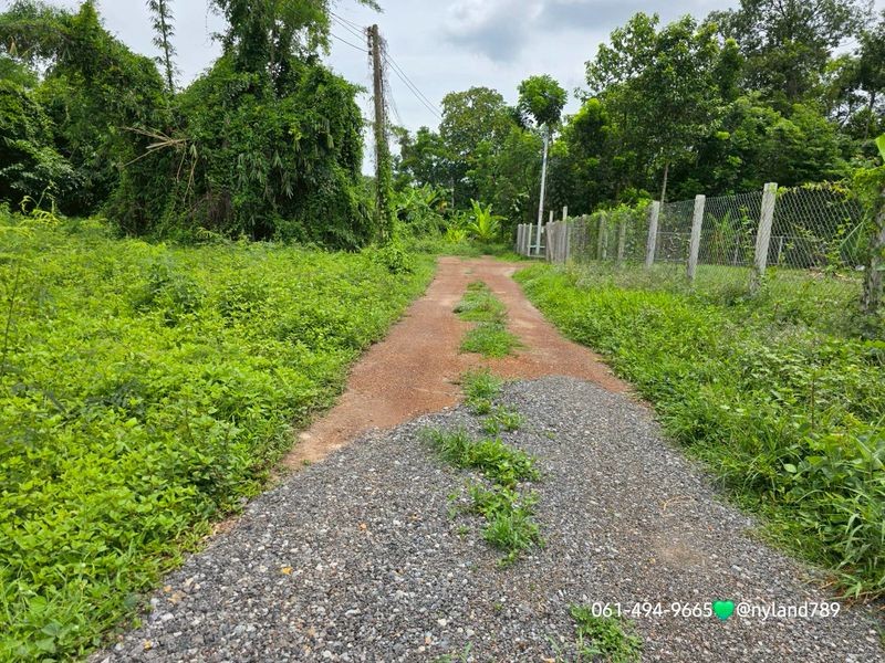 ขายที่สวนติดแม่น้ำนครนายก ต.ศรีนาวา อ.เมืองนครนายก หน้าปากซอยมีเซเว่น ใกล้ตลาดนครนายก 5 กม.