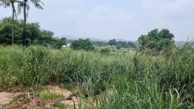 ขายที่ดินหุบบอน หนองขาม ศรีราชา แปลงสวย ทำเลดี ใกล้ถนนเส้น 331 FP-L0712