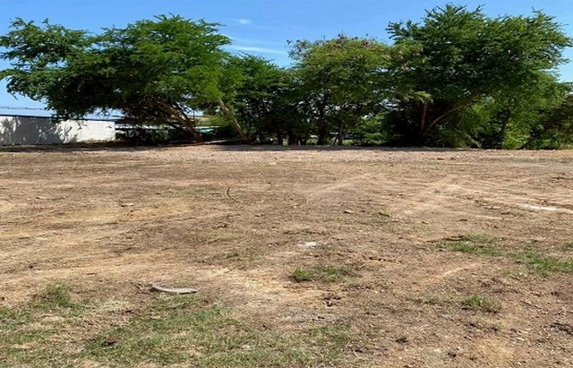 ด่วน! เหลือแปลงสุดท้าย ที่ดินเปล่า ห้วยใหญ่ พัทยา ชลบุรี TP-L1314