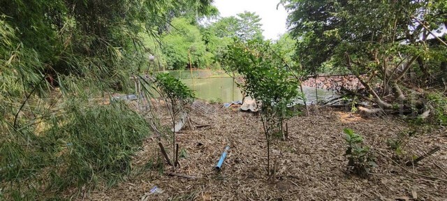 ที่ดินพร้อมสิ่งปลูกสร้าง แปลงสวย 2-2-25 ไร่ บางเลน นครปฐม ราคาถูก